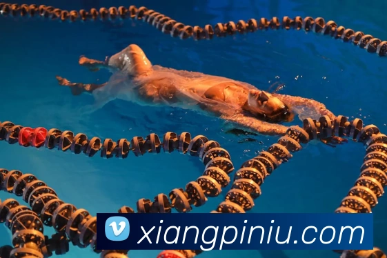 趣体育app官方网站平台生态图